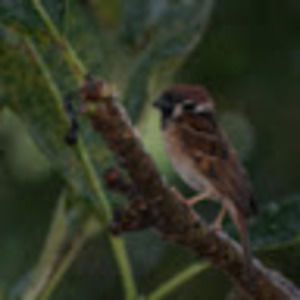 Meet your Posher, Mandy